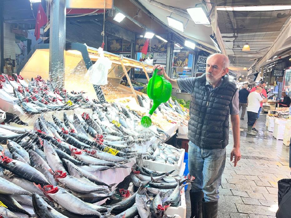 Tezgahların Şampiyonu: Uygun Fiyatlı ve Bol Palamut Sezonu
