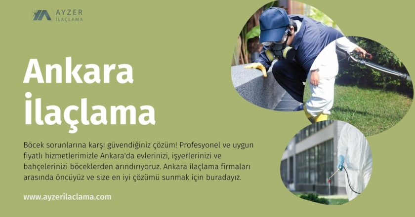 Ankara Böcek İlaçlama Firmasıyla Evleriniz Güvende