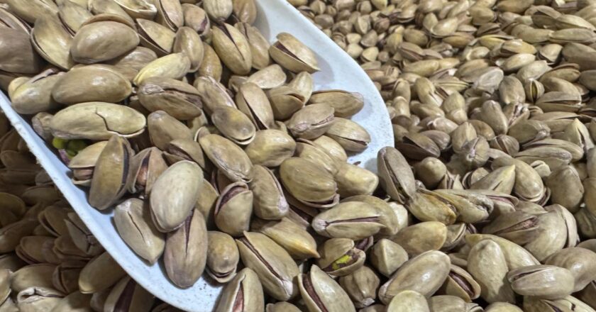 Geçen yıl 229 milyon dolar değerinde fıstık ihraç edildi