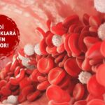 Demir eksikliği modern çağın gizli salgını mı? Ciddi hastalıklara neden olur! Demir eksikliği ve anemi arasındaki fark nedir?