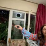 Ağaç balkonda kahve içerken devrildi! “Kızım kaçtı, ağacındaydım”