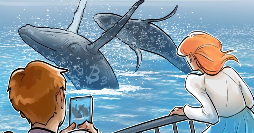 Dev Bitcoin Balina, Trump seçiminden sonra BTC rezervlerini iki katına çıkardı