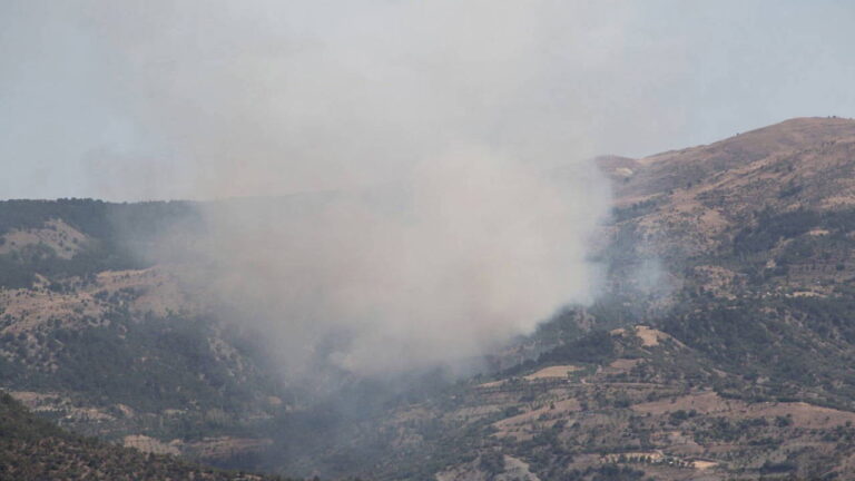 Alevler Çorum'a yükseldi: ormanlık alanda ateş! – Türkiye haberlerini kırmak