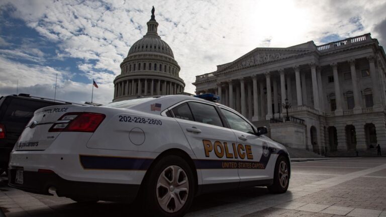 Trump yönetimi, sermaye polisinin görevi reddettiğini kabul etti