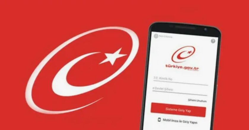 E Devlet sisteminde gizli kalan işlemler ilgi topluyor